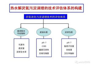 热水解厌氧污泥新型调理技术的开发与工程应用